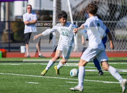 Thumbnail 2 in Skyline @ Tahoma (WIAA 4A Semi-Final) photogallery.