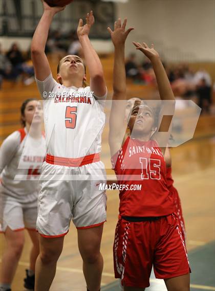 Thumbnail 3 in Saint Mary's vs. California photogallery.