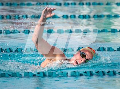 Thumbnail 2 in Meet of Champions photogallery.