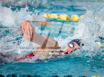 Thumbnail 1 in Meet of Champions photogallery.