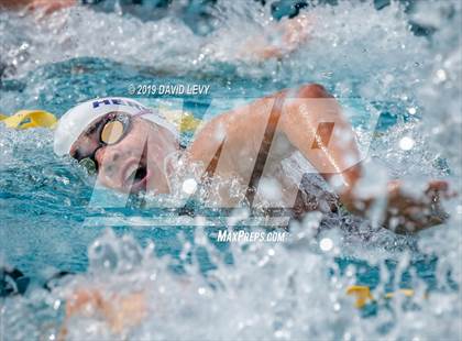 Thumbnail 1 in Meet of Champions photogallery.