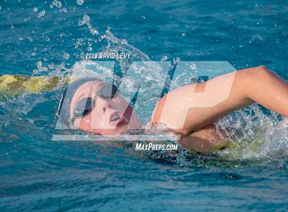 Thumbnail 1 in Meet of Champions photogallery.