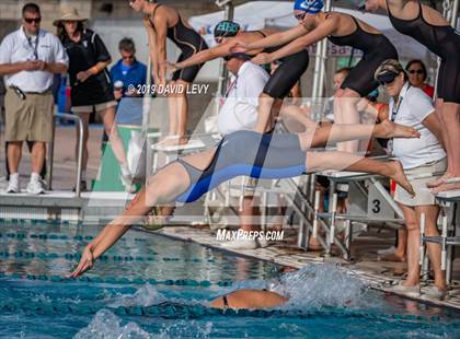 Thumbnail 1 in Meet of Champions photogallery.