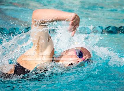 Thumbnail 2 in Meet of Champions photogallery.