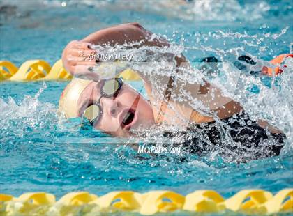 Thumbnail 1 in Meet of Champions photogallery.