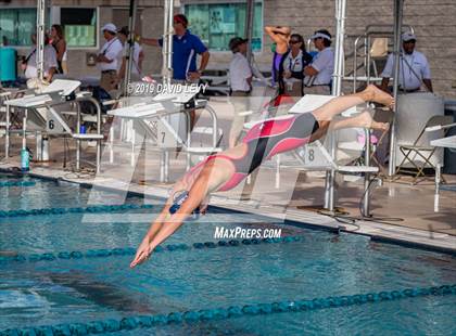 Thumbnail 1 in Meet of Champions photogallery.