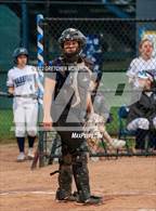 Photo from the gallery "Darien @ Wilton"