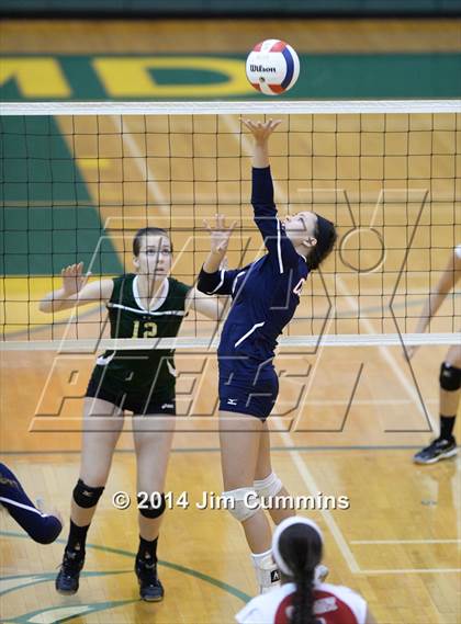Thumbnail 3 in Conant @ Fremd photogallery.