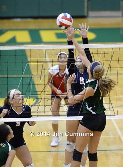 Thumbnail 2 in Conant @ Fremd photogallery.