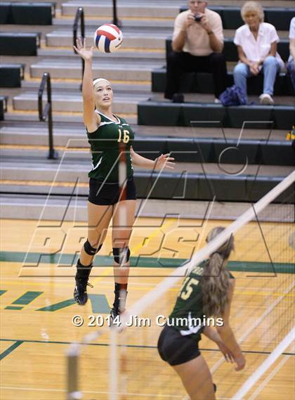 Thumbnail 1 in Conant @ Fremd photogallery.