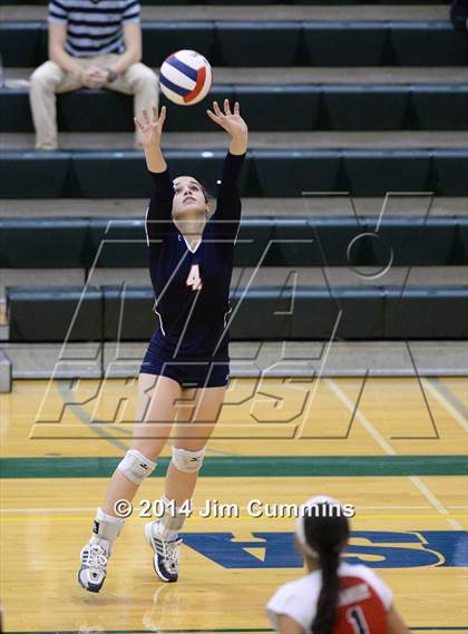 Thumbnail 2 in Conant @ Fremd photogallery.