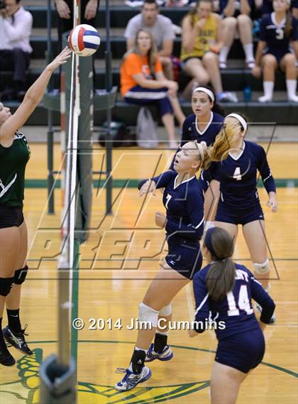 Thumbnail 2 in Conant @ Fremd photogallery.