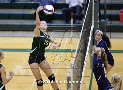 Thumbnail 1 in Conant @ Fremd photogallery.