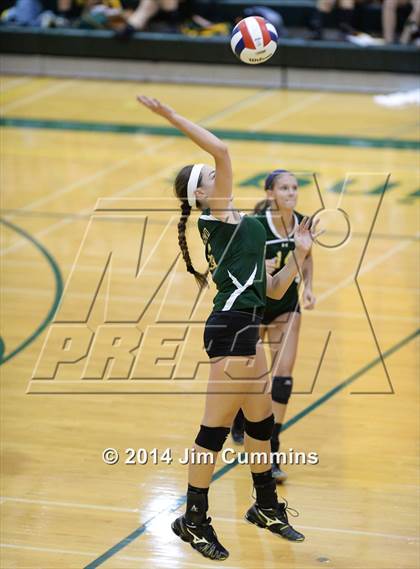 Thumbnail 1 in Conant @ Fremd photogallery.