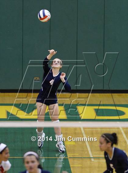 Thumbnail 2 in Conant @ Fremd photogallery.
