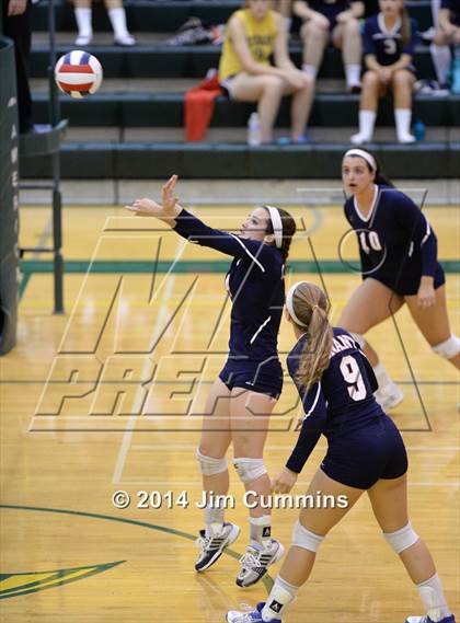 Thumbnail 1 in Conant @ Fremd photogallery.