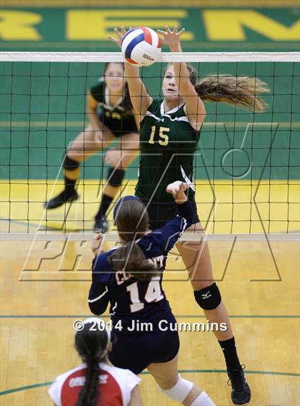 Thumbnail 2 in Conant @ Fremd photogallery.