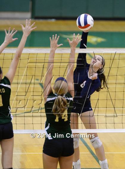 Thumbnail 3 in Conant @ Fremd photogallery.