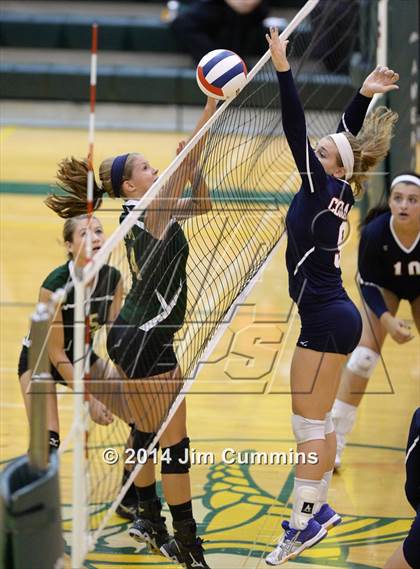 Thumbnail 3 in Conant @ Fremd photogallery.