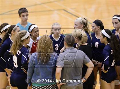 Thumbnail 2 in Conant @ Fremd photogallery.