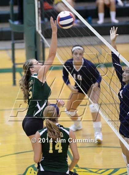 Thumbnail 3 in Conant @ Fremd photogallery.