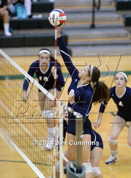 Thumbnail 1 in Conant @ Fremd photogallery.