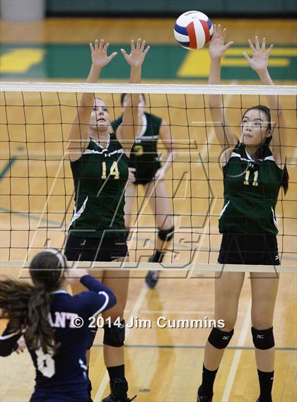 Thumbnail 2 in Conant @ Fremd photogallery.