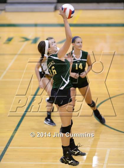 Thumbnail 1 in Conant @ Fremd photogallery.