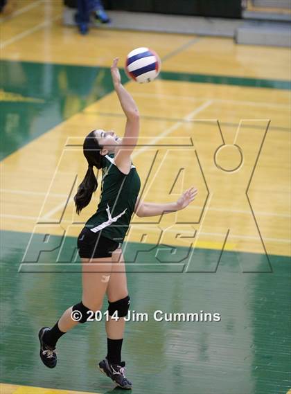 Thumbnail 2 in Conant @ Fremd photogallery.