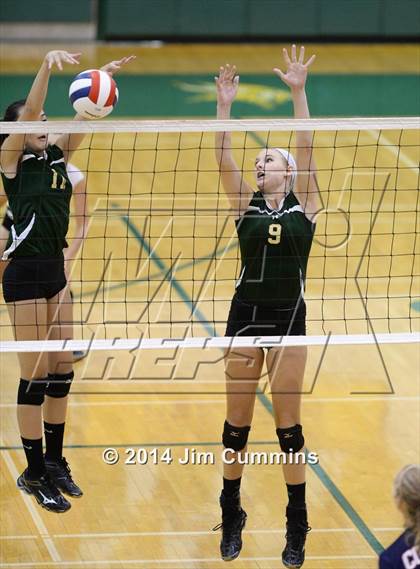 Thumbnail 2 in Conant @ Fremd photogallery.