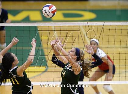 Thumbnail 3 in Conant @ Fremd photogallery.