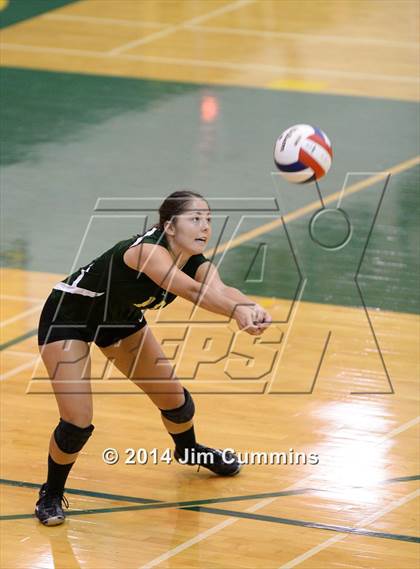 Thumbnail 1 in Conant @ Fremd photogallery.