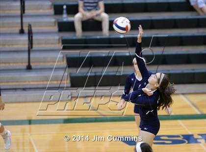 Thumbnail 3 in Conant @ Fremd photogallery.