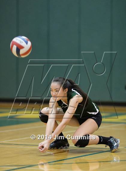 Thumbnail 3 in Conant @ Fremd photogallery.