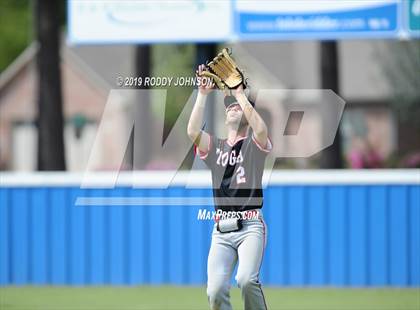 Thumbnail 2 in Tioga @ DeRidder photogallery.
