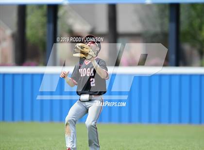 Thumbnail 3 in Tioga @ DeRidder photogallery.