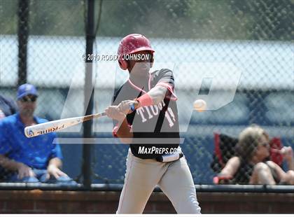 Thumbnail 3 in Tioga @ DeRidder photogallery.