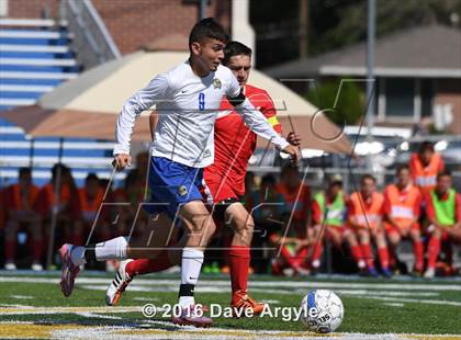 Thumbnail 3 in Uintah @ Cyprus (UHSAA 4A Tournament) photogallery.
