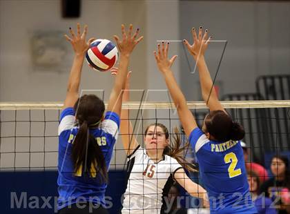 Thumbnail 3 in Round Rock Westwood @ Pflugerville photogallery.