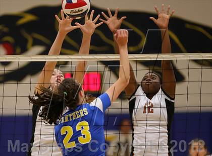 Thumbnail 2 in Round Rock Westwood @ Pflugerville photogallery.