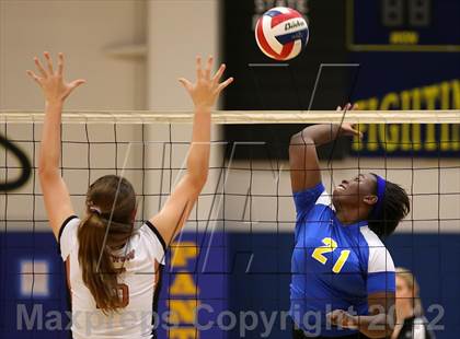 Thumbnail 3 in Round Rock Westwood @ Pflugerville photogallery.