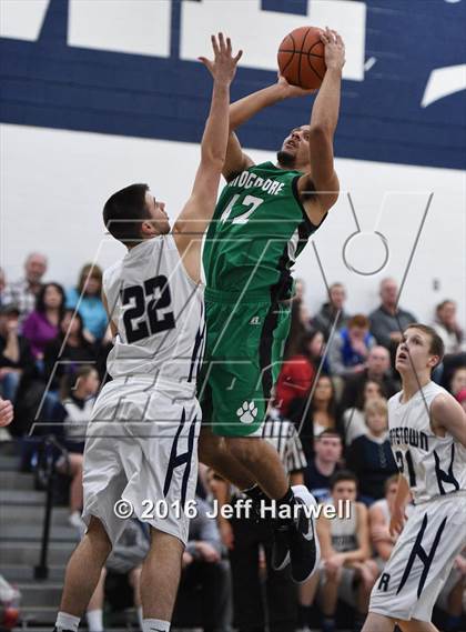 Thumbnail 1 in Mogadore vs. Rootstown photogallery.