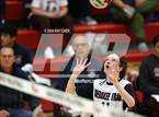 Photo from the gallery "Cherokee Trail @ Eaglecrest"