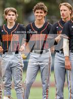 Photo from the gallery "Lassiter @ Walton"