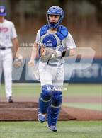 Photo from the gallery "Lassiter @ Walton"