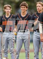 Photo from the gallery "Lassiter @ Walton"