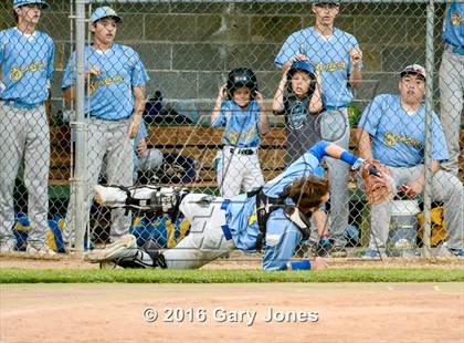 Thumbnail 3 in Benicia vs Bella Vista (CIF SJS D2 Final) photogallery.