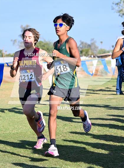 Thumbnail 3 in AIA Division III Championships photogallery.