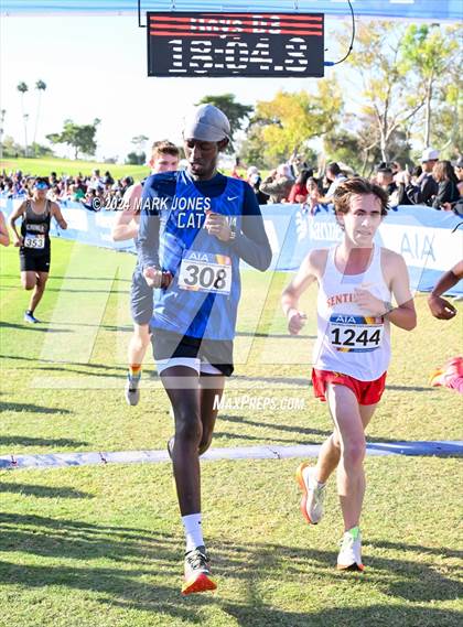 Thumbnail 1 in AIA Division III Championships photogallery.