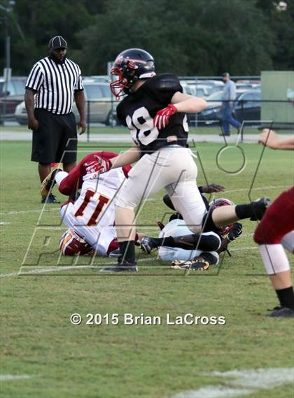 Thumbnail 2 in West Nassau @ Charlton County photogallery.